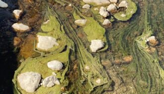 an aerial view of a river with rocks and grass
