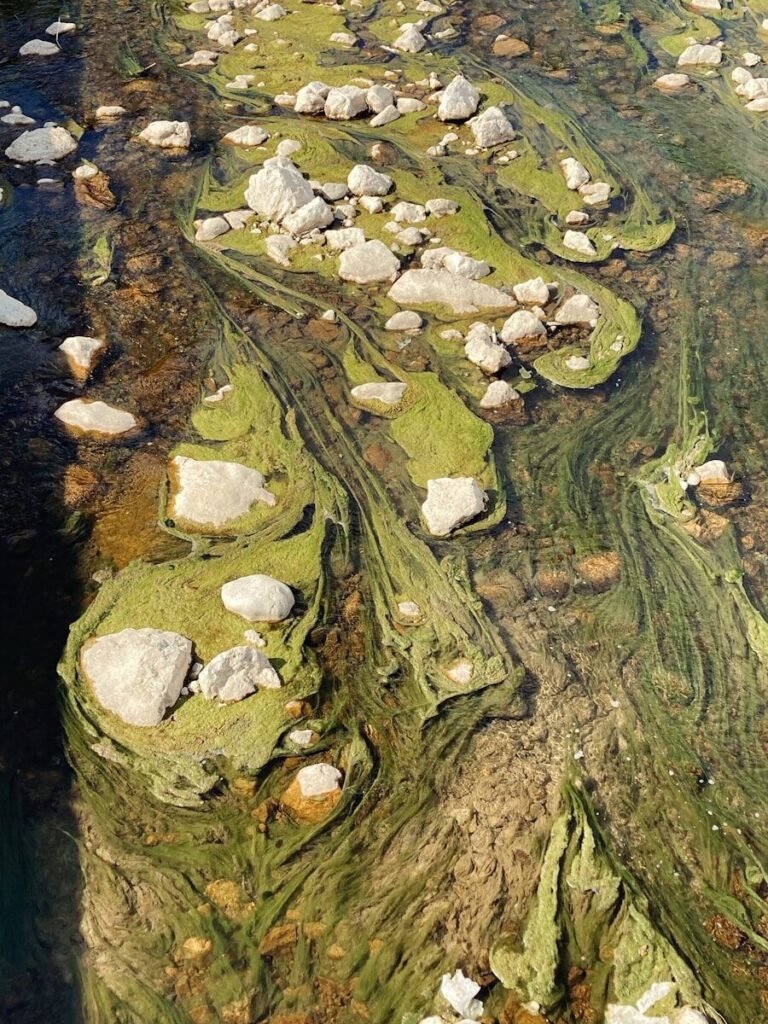 an aerial view of a river with rocks and grass