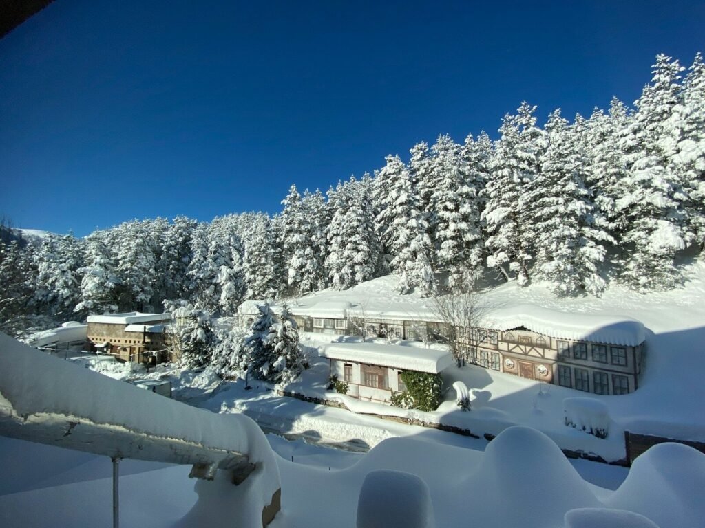 a snowy landscape with trees